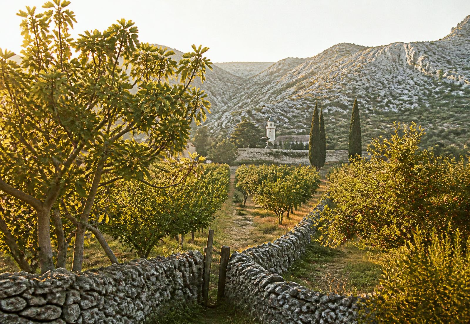 Terraced orchard beside dry stone walls in the karst valley near Stolac